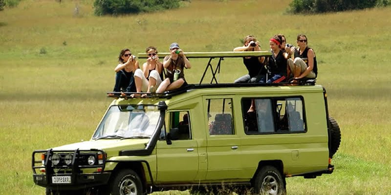 self drive in rwanda safari