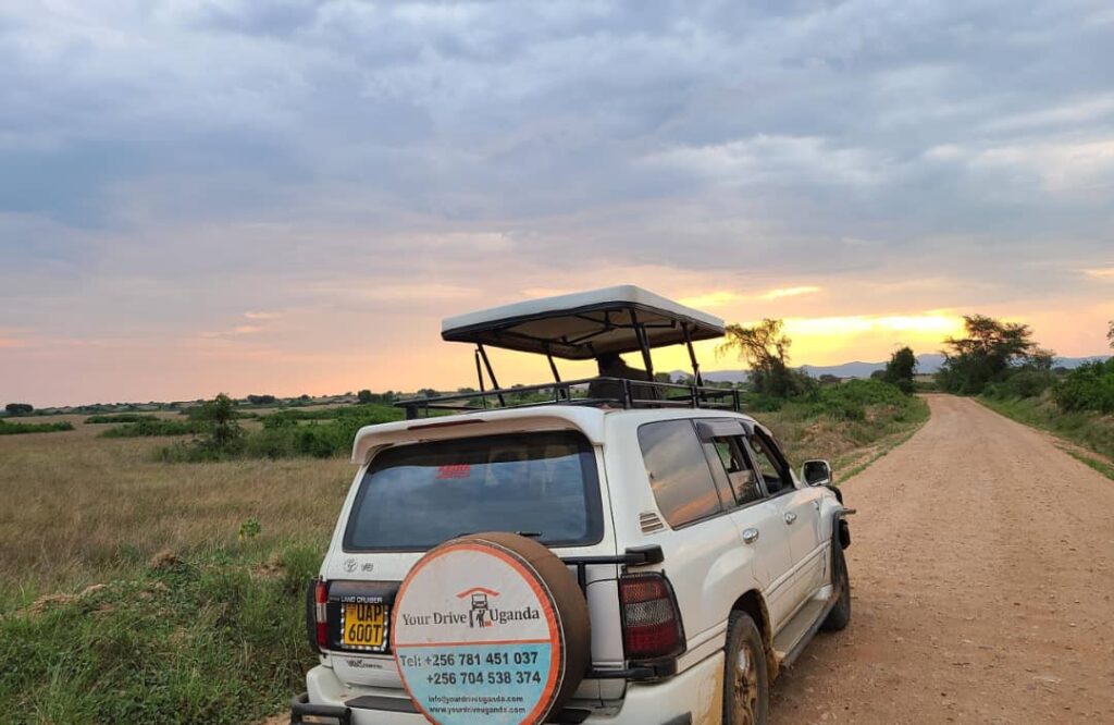 cheap 4x4 car rental east africa with a pop up roof